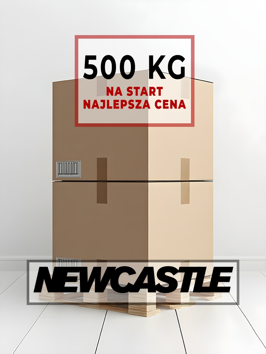 Anglia D2D 500 kg, <span>Paleta 120 x 120</span>