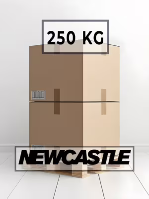Anglia D2D 250 kg, <span>Paleta 120 x 80</span>