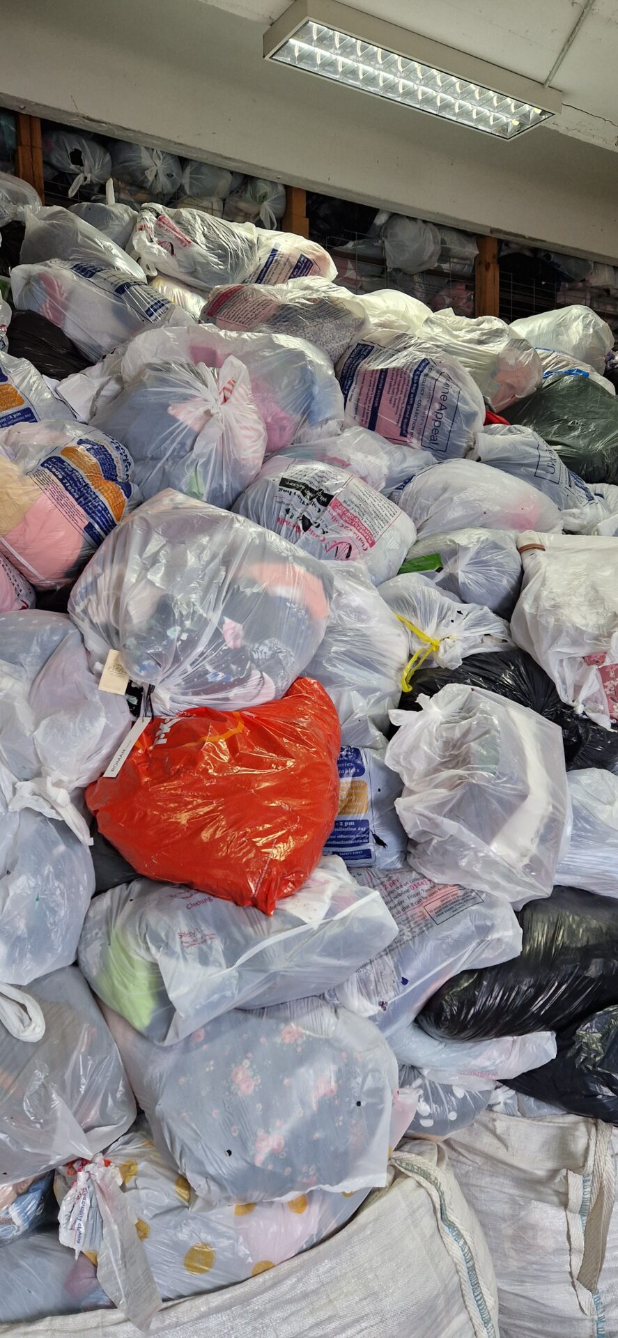 Anglia D2D 250 kg, <span>Paleta 120 x 80</span> - obrazek 4